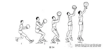 为什么体型在篮球训练中起着关键作用_2